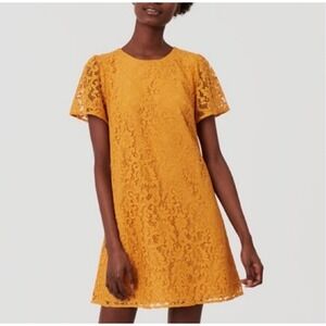 LOFT Mustard‎ Yellow Lace Flutter Sleeve Shift Dress Size 14